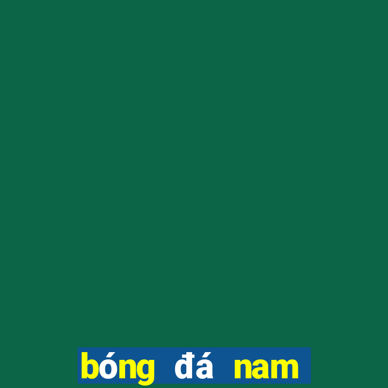 bóng đá nam định hôm nay