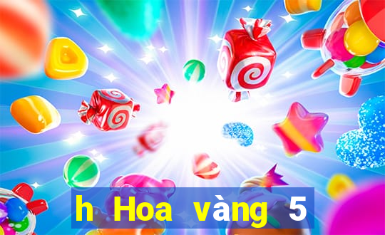 h Hoa vàng 5 lông chiên