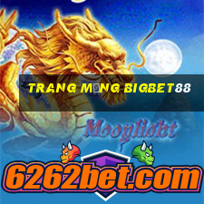 trang mạng bigbet88