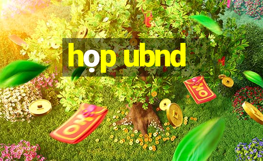 họp ubnd