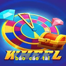 báo cáo tài chính - bctc