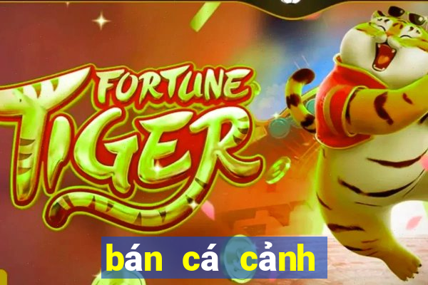 bán cá cảnh giá sỉ