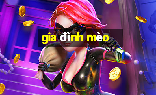 gia đình mèo