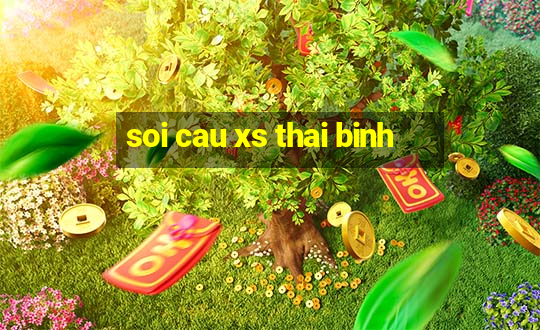 soi cau xs thai binh