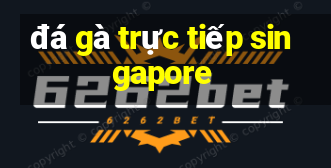 đá gà trực tiếp singapore