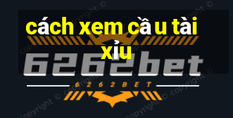 cách xem cầu tài xỉu