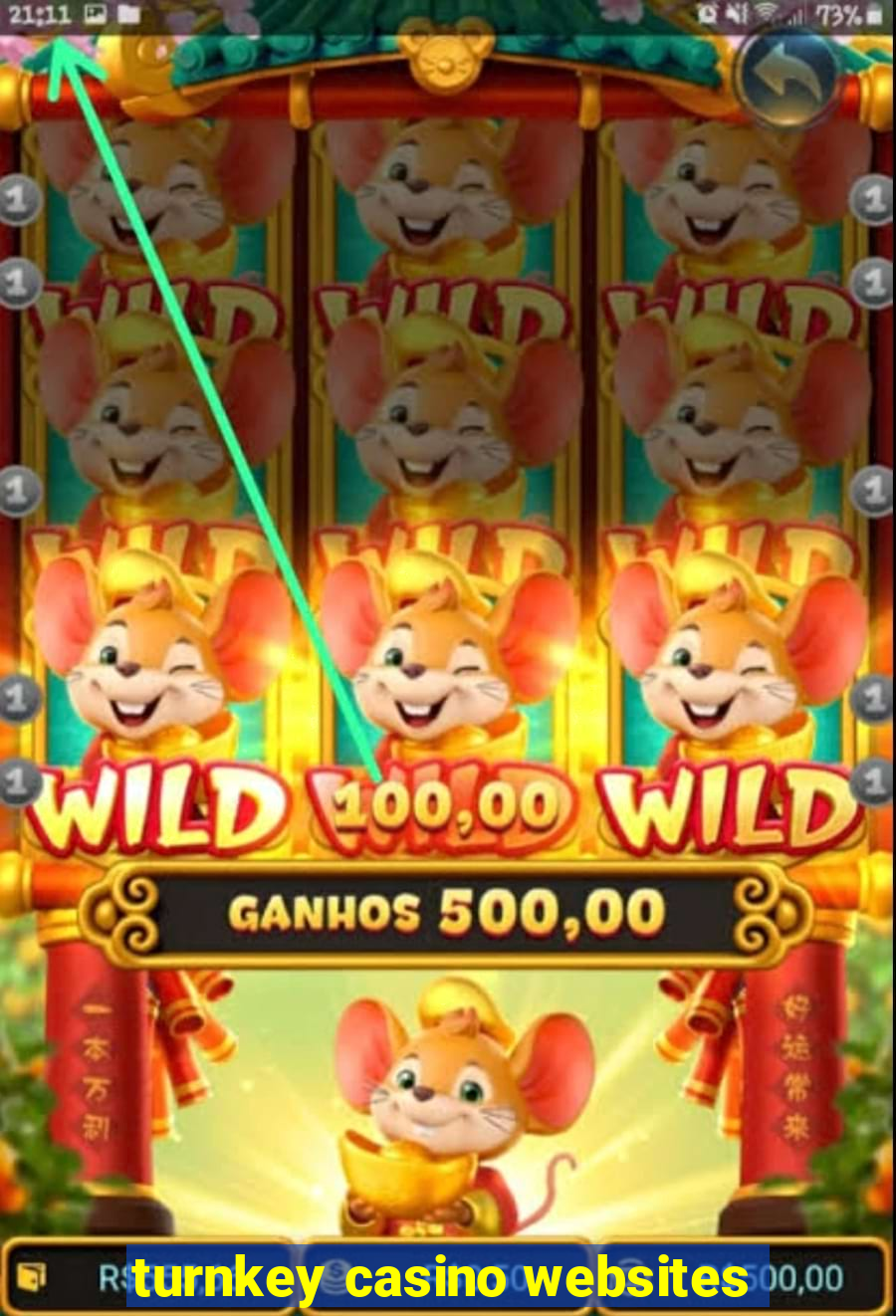 turnkey casino websites