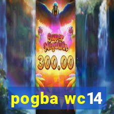 pogba wc14