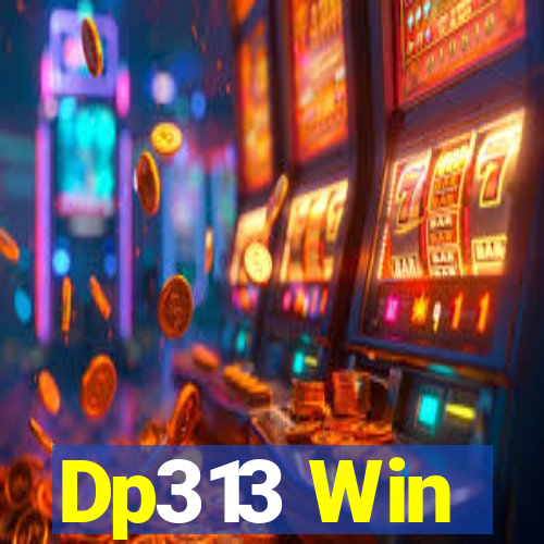 Dp313 Win