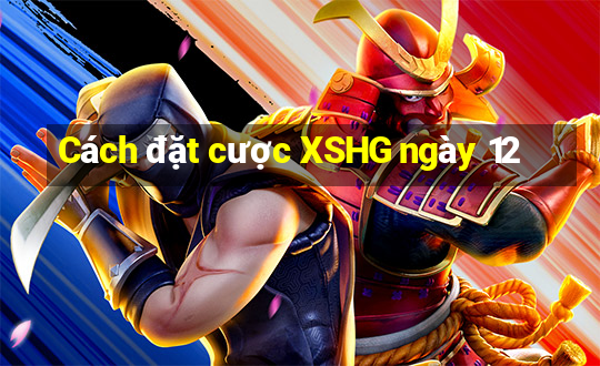 Cách đặt cược XSHG ngày 12