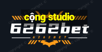 cộng studio