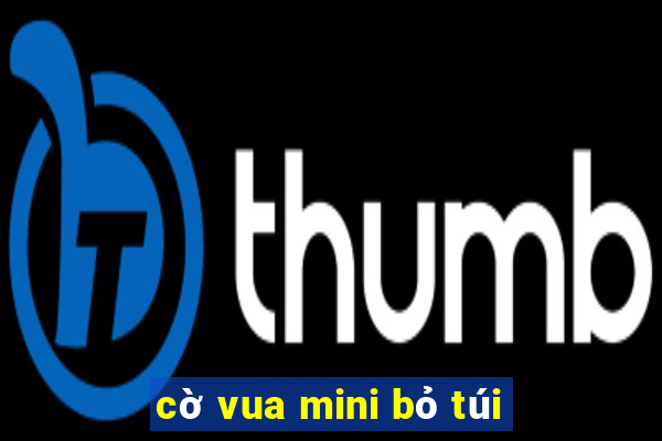 cờ vua mini bỏ túi