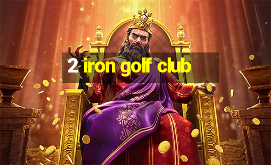 2 iron golf club