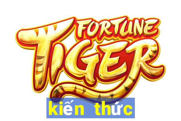 kiến thức casino kingbets