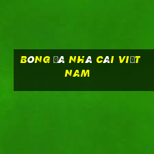 bóng đá nhà cái việt nam