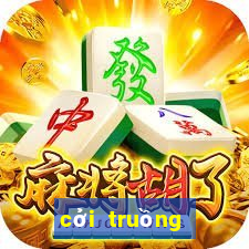 cởi truồng đánh con gì