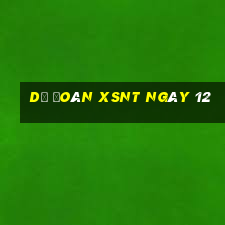 Dự đoán XSNT ngày 12