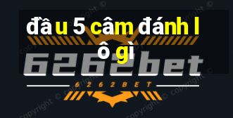 đầu 5 câm đánh lô gì