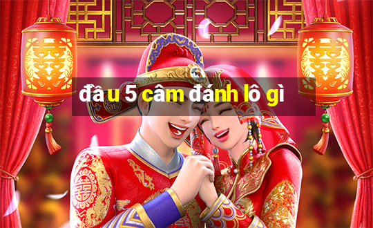 đầu 5 câm đánh lô gì