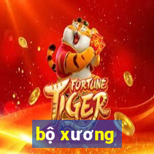 bộ xương