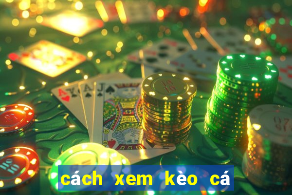 cách xem kèo cá cược bóng đá trên mạng