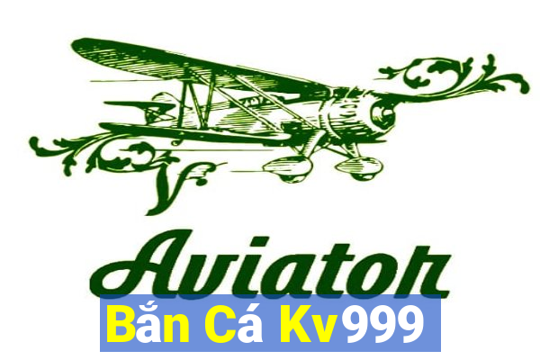 Bắn Cá Kv999