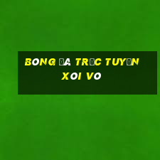 bóng đá trực tuyến xôi vò