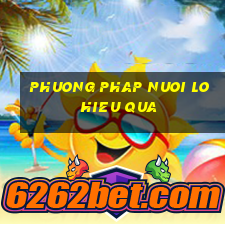 phuong phap nuoi lo hieu qua