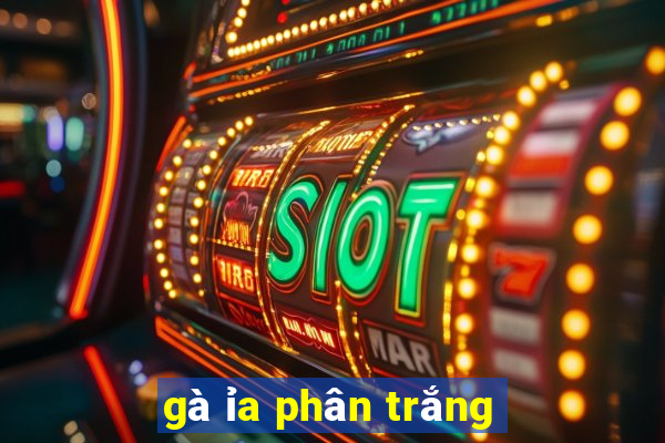 gà ỉa phân trắng