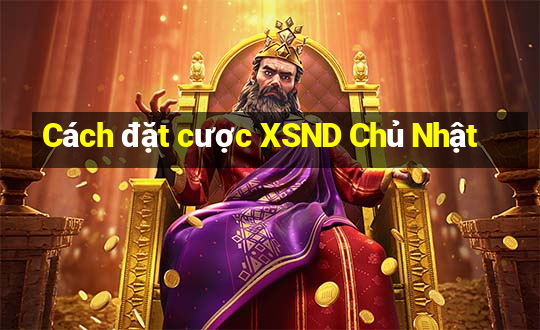 Cách đặt cược XSND Chủ Nhật