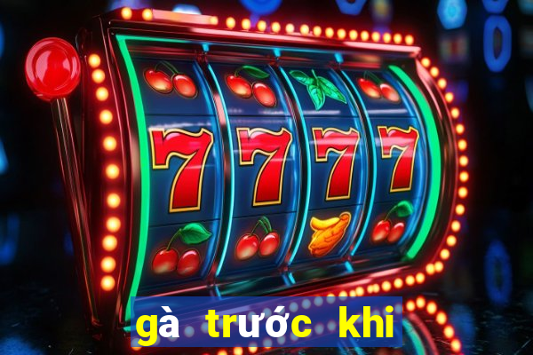 gà trước khi đá cho ăn gì