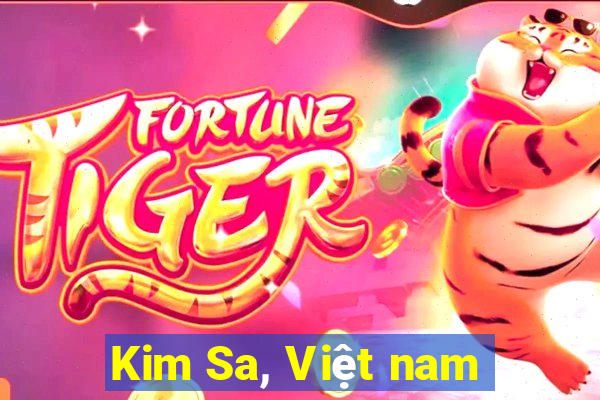 Kim Sa, Việt nam