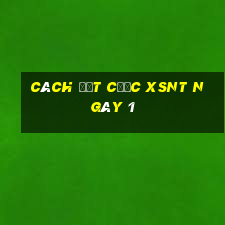 Cách đặt cược XSNT ngày 1