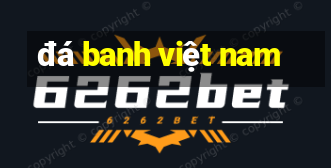 đá banh việt nam