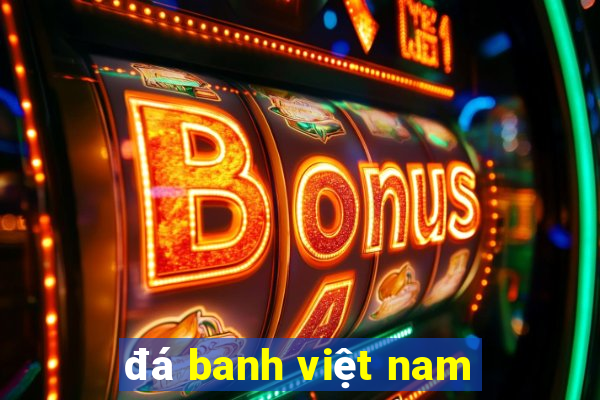 đá banh việt nam