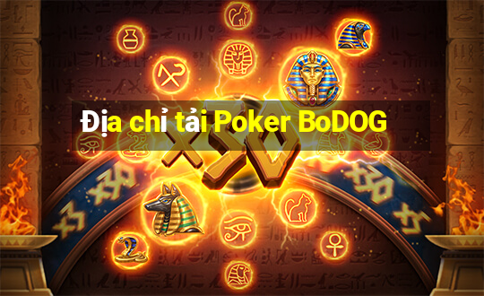 Địa chỉ tải Poker BoDOG