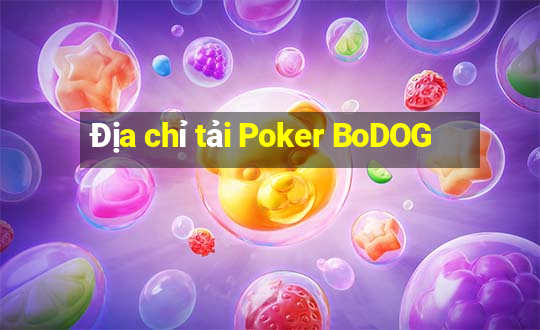 Địa chỉ tải Poker BoDOG