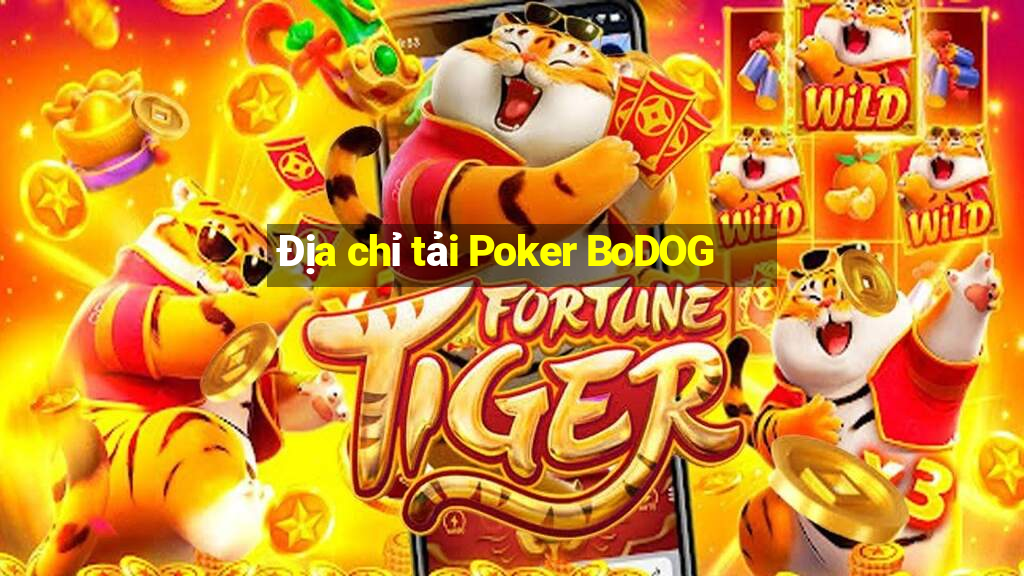 Địa chỉ tải Poker BoDOG