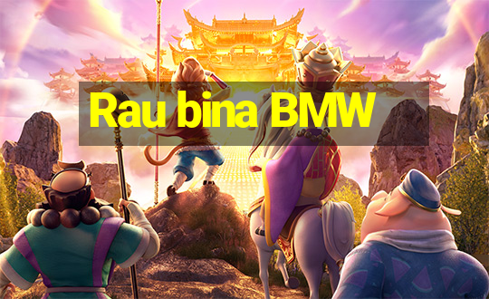 Rau bina BMW