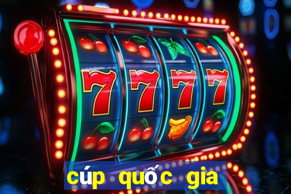 cúp quốc gia nam định gặp bình định