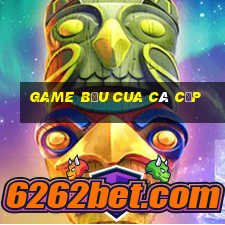 game bầu cua cá cọp