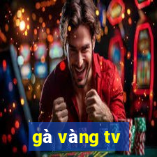 gà vàng tv