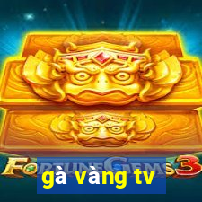 gà vàng tv