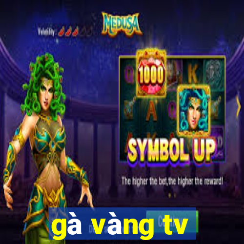 gà vàng tv