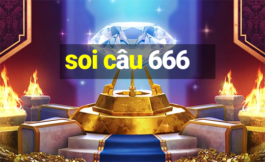 soi cau 666