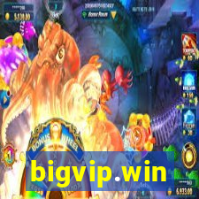 bigvip.win