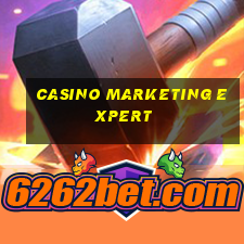 casino marketing expert