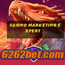 casino marketing expert