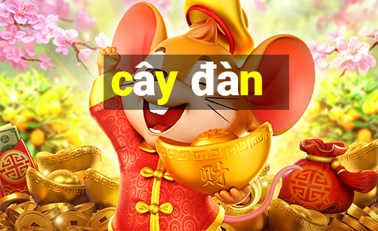 cây đàn