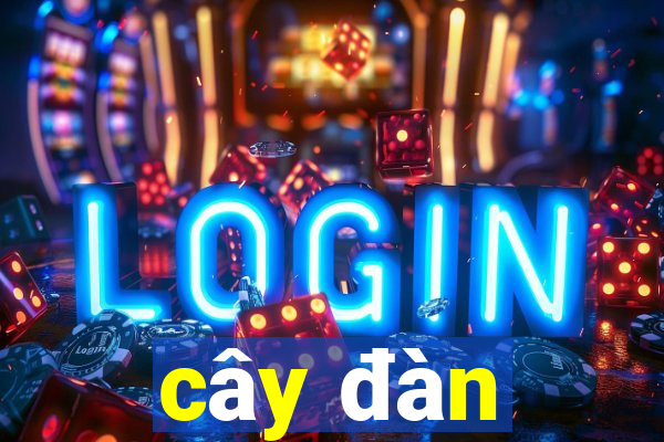 cây đàn